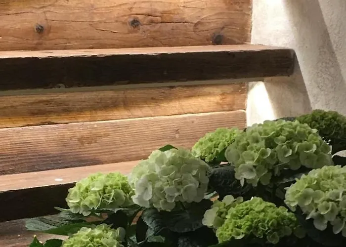 Inside The 게스트하우스